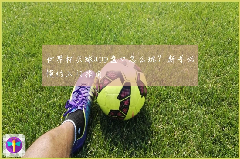 世界杯买球app盘口怎么玩？新手必懂的入门指南