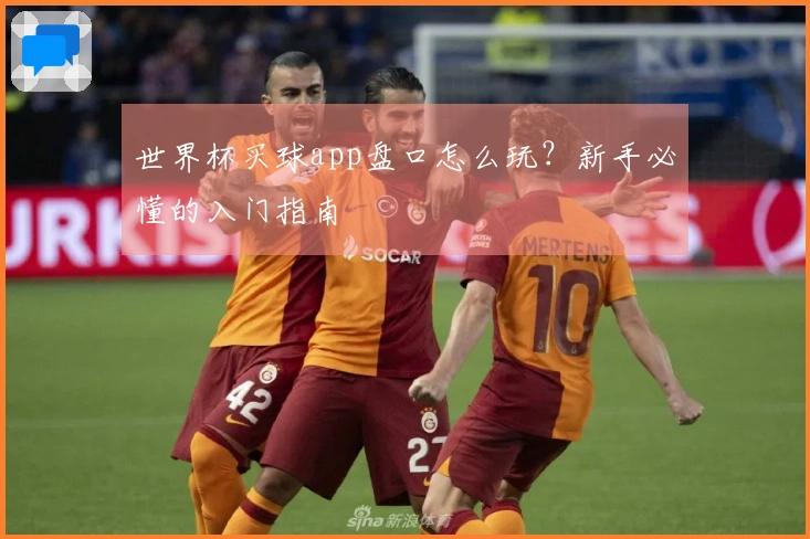 世界杯买球app盘口怎么玩？新手必懂的入门指南