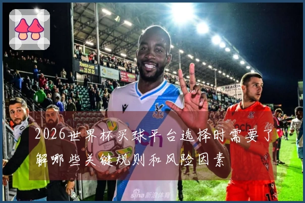 2026世界杯买球平台选择时需要了解哪些关键规则和风险因素